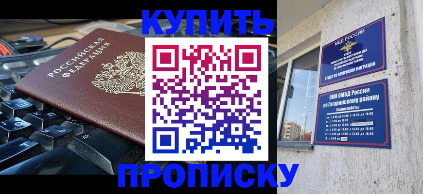 временная регистрация для всех в Зиме